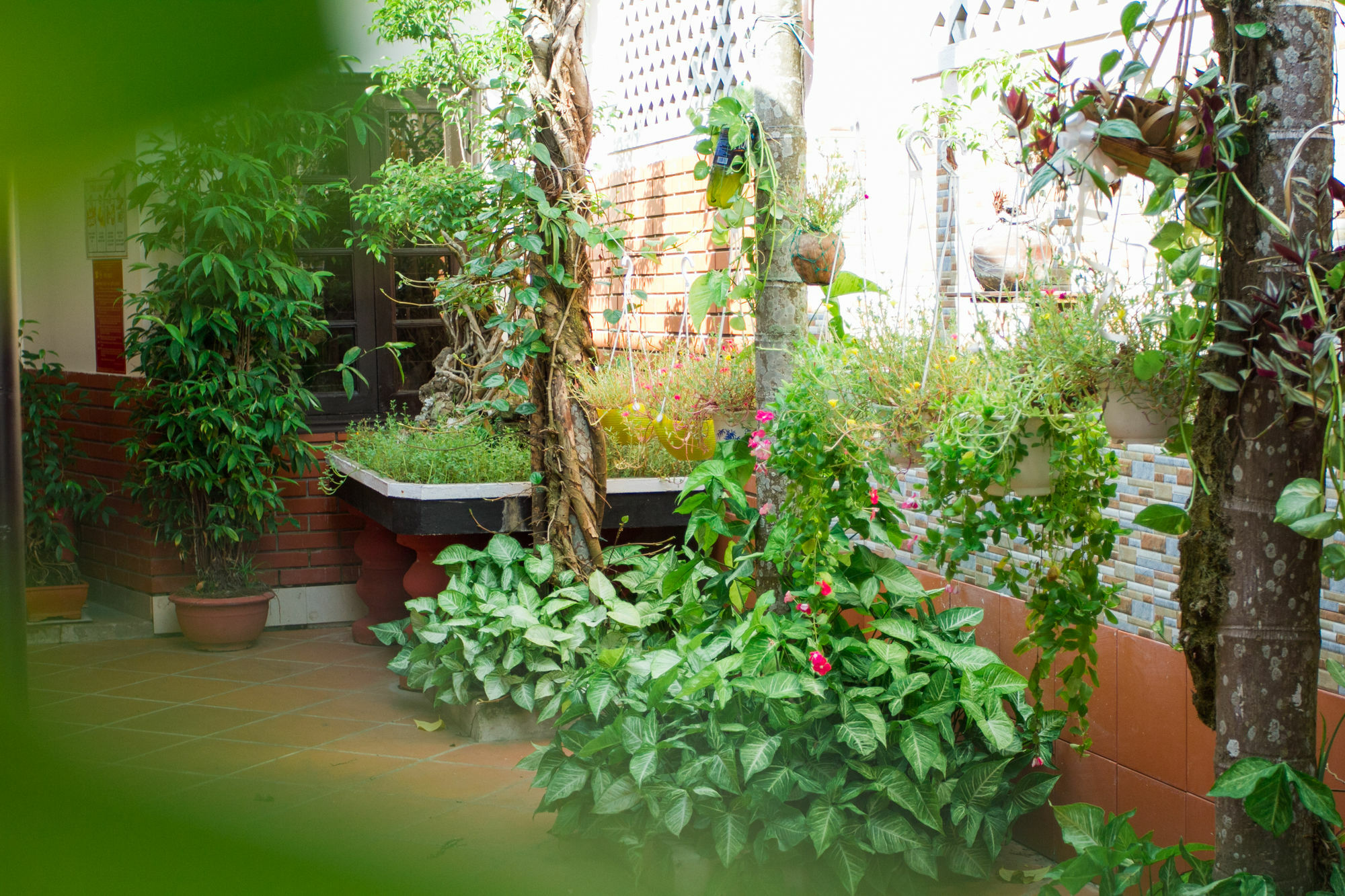 Red Ceramics Homestay Hoi An Exterior foto